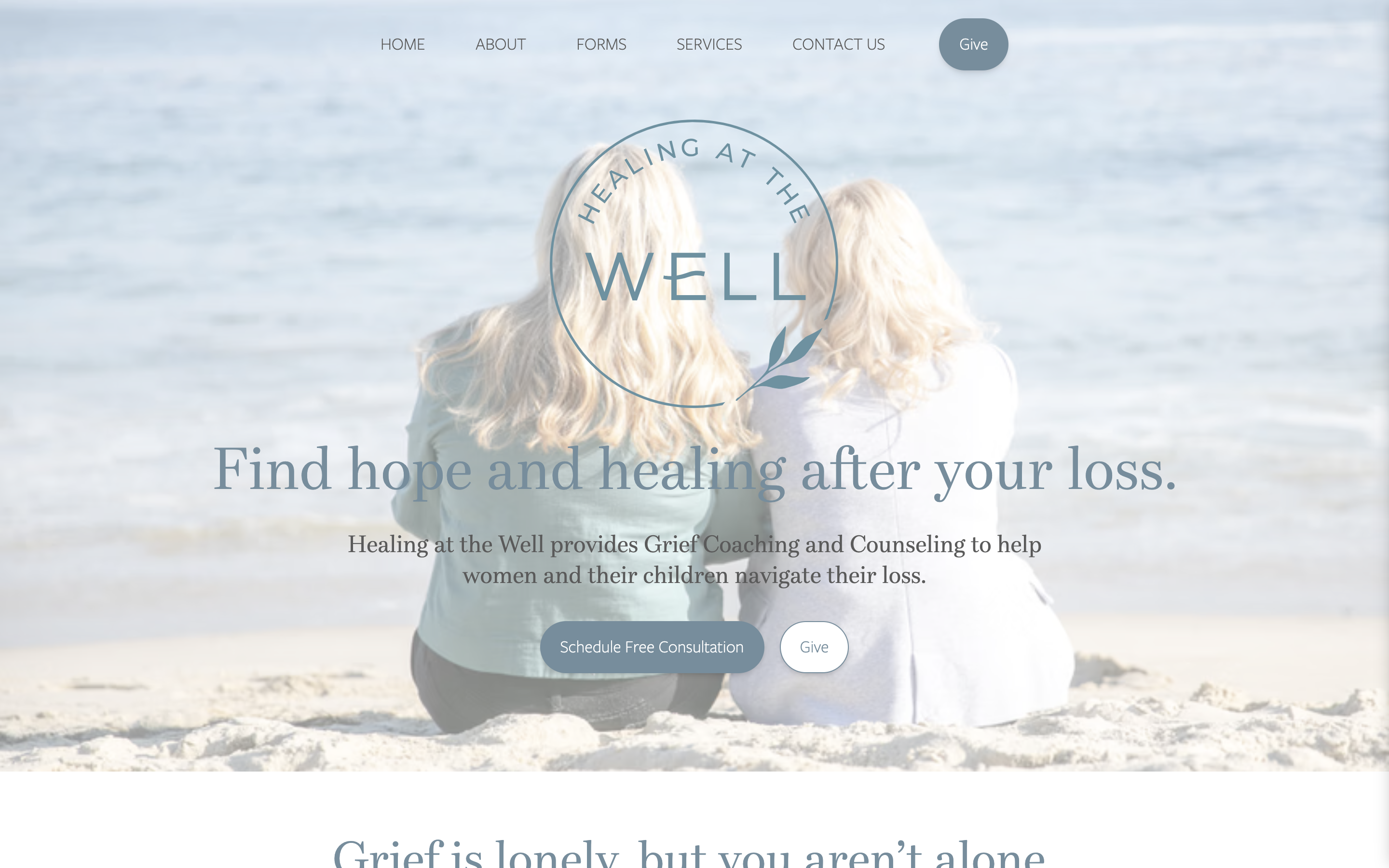 Amir Geek Project Image